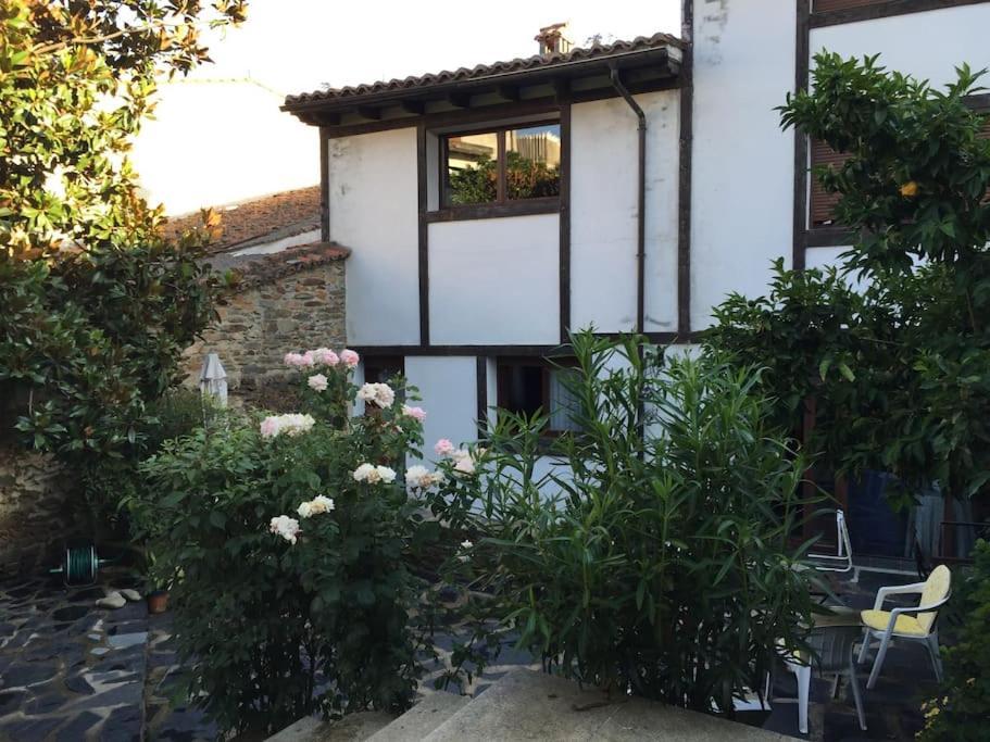 Casa Rural Con Piscina Privada Casar de Palomero ภายนอก รูปภาพ